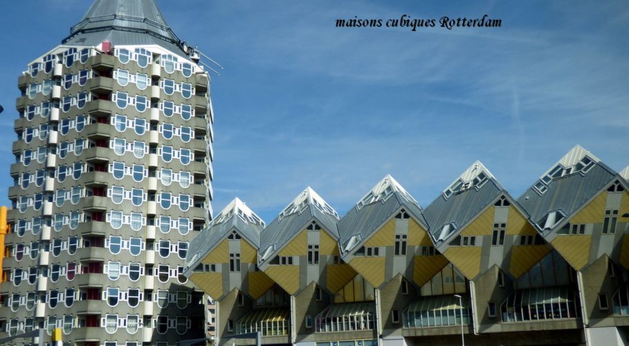 095 Rotterdam maisons cubique