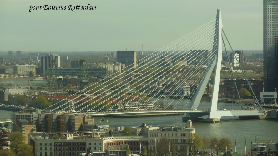 098 Rotterdam pont Erasmus (2)