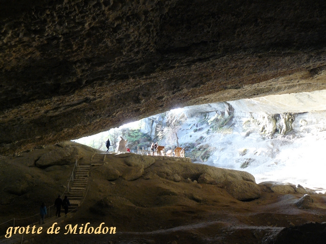 grotte milodon(10)