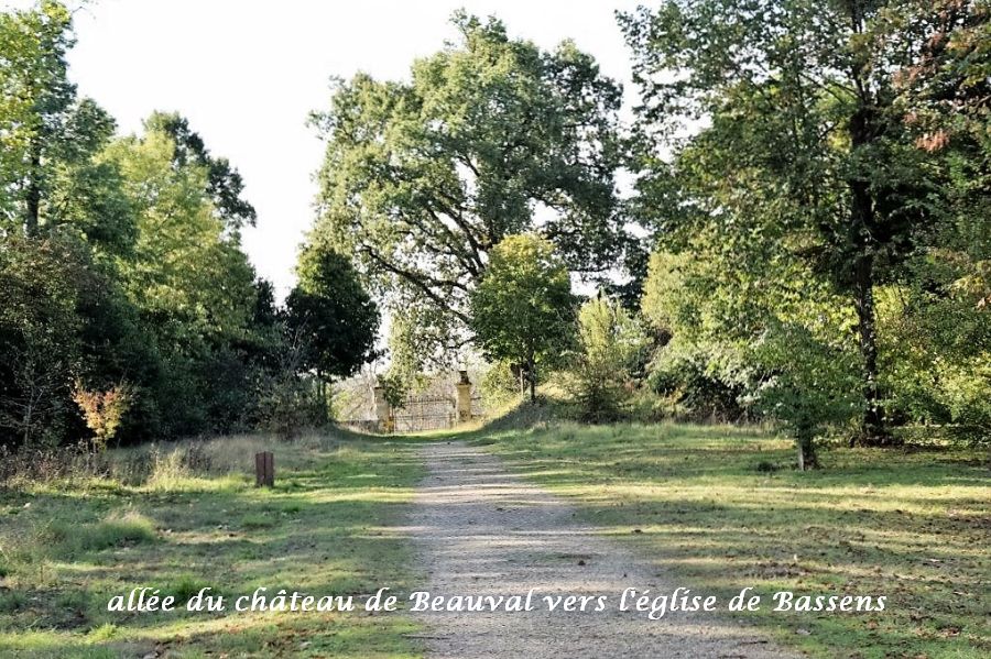 04-allee-parc-beauval