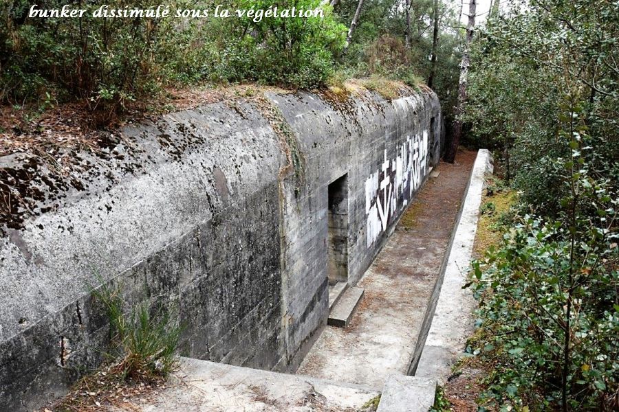 07-bunker