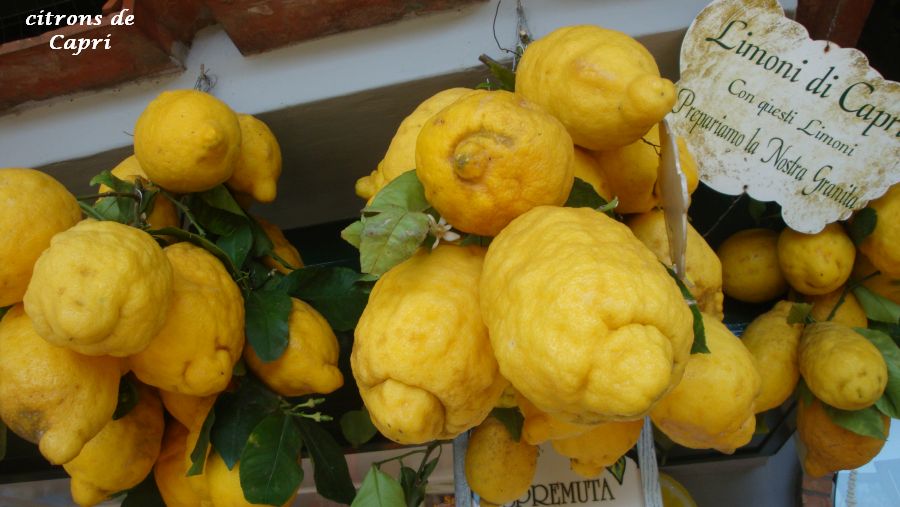 02 citrons Capri