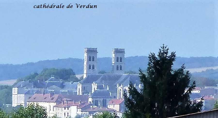 02 bisP1050439 vue sur Verdun et sa cathédrale (2bis)